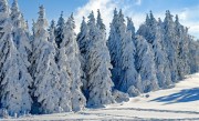 中央气象台再次6预警连发！暴雪、冻雨等齐至：局地累计降温超20℃ ！