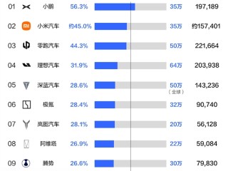 2025上半年新势力销量目标完成率盘点：仅小鹏汽车一家过半 ！