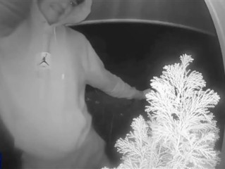 美国青少年兴起踹门挑战引担忧：已发生多起暴力冲突 ！