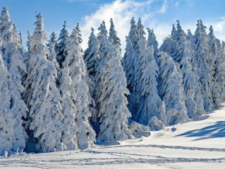 东北已经下雪了！“中国最冷小镇”开启8个月供暖季 !