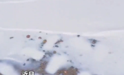美翻！内蒙古“牛奶湖”奇观火出圈 湖水因矿物颗粒现乳白色 !