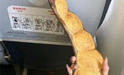女子带1米长巨大豆荚坐飞机引围观 机场客服：可随身携带 ！