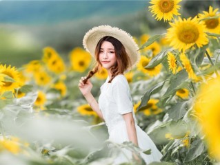 “豕亥鱼鲁"是指打一正确准确什么生肖，“豕亥鱼鲁"是猜成语最佳释义解释