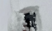 直击各地强降雪：河南雪厚得像切糕 树叶车辆“穿冰甲” ！