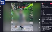 为博取网络关注编造 “2岁女儿被抱走”！发布者被行拘 !